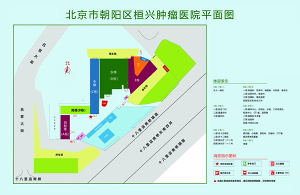 大鸡巴,大鸡巴操逼导航网站北京市朝阳区桓兴肿瘤医院平面图